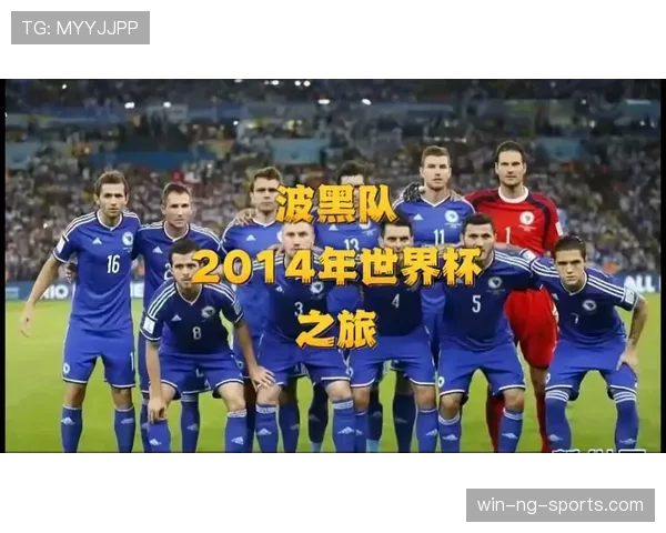 波黑冲击2026世界杯：晋级前景与阵容分析